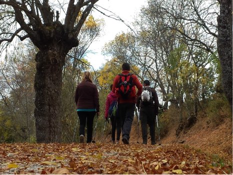 practicando nordic walking en el bosque por el Valle del Lozoya