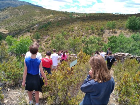 grupo de escolares realizando senderismo por la Sierra Norte de Madrid
