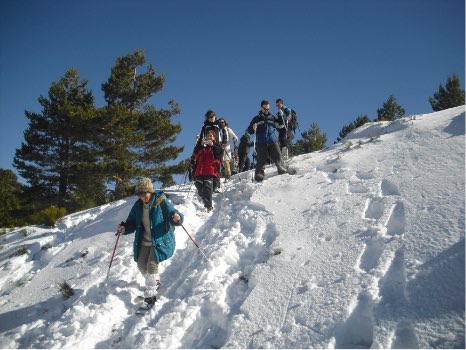 Personas descendiendo una ladera con las raquetas de nieve