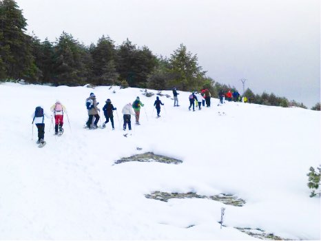 precioso paisaje para ir con las raquetas de nieve en la Sierra Norte de Madrid