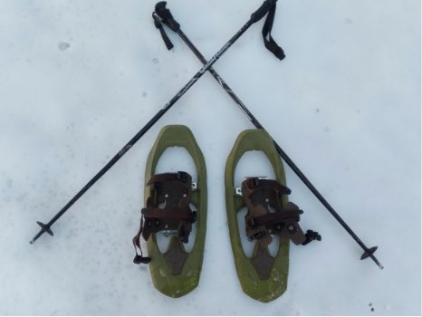 raquetas de nieve y bastones para adultos y niños